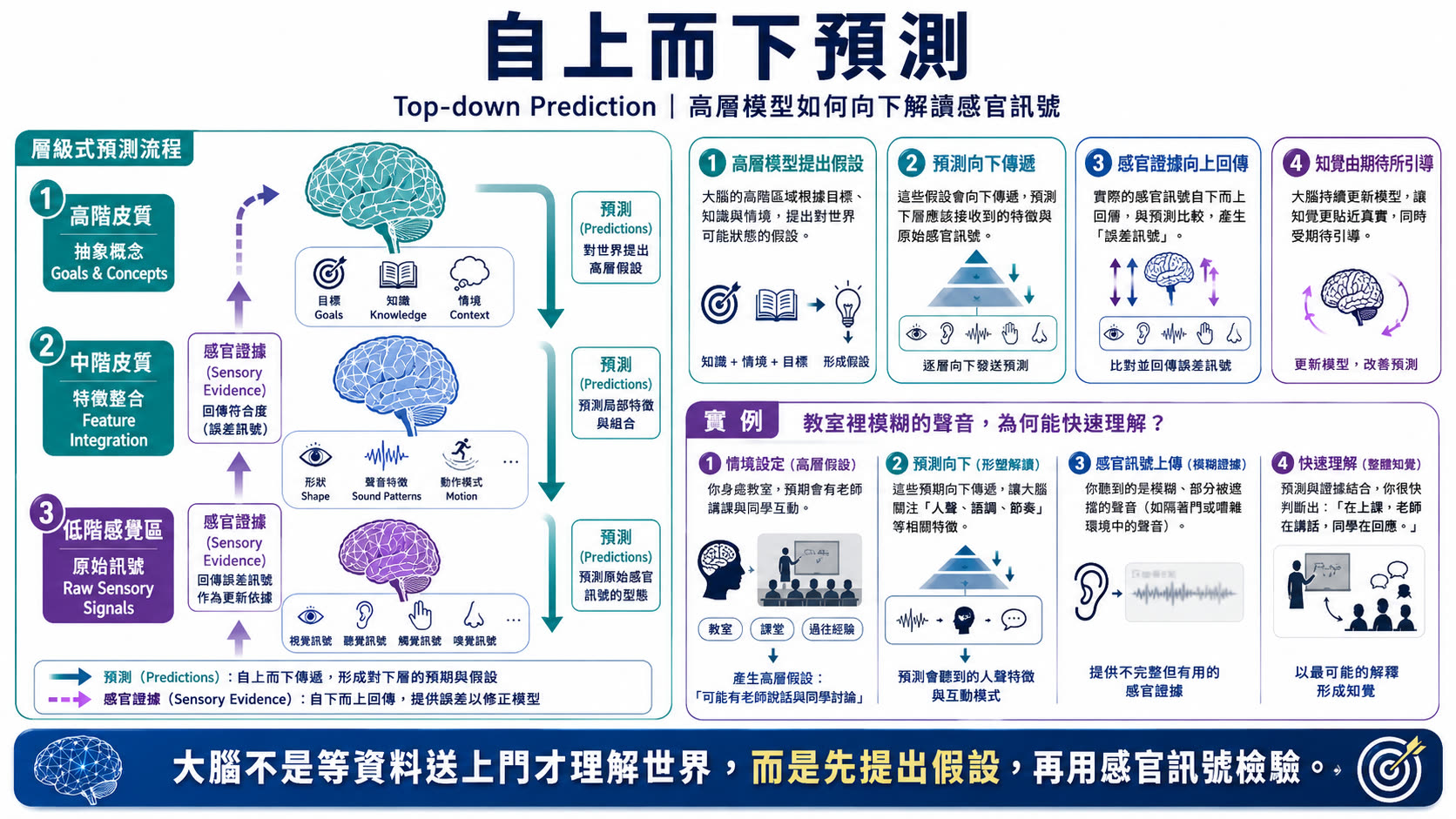 腦是預測的機器說明圖片 3