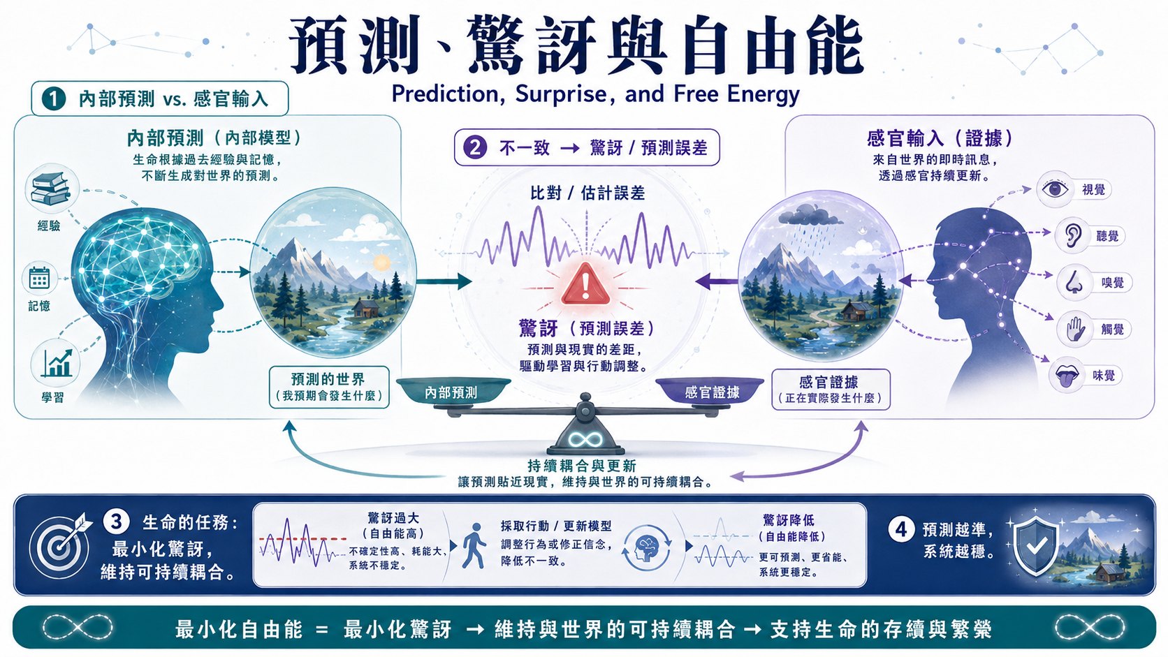 Morkov Blanket 圖片 7
