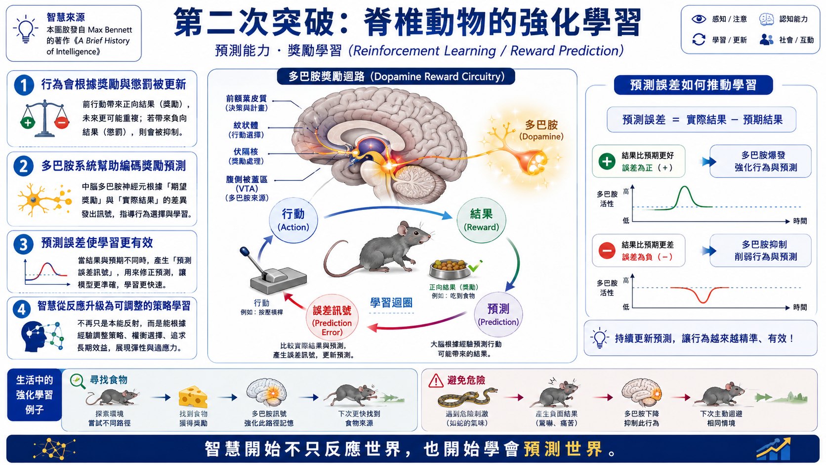 智慧的演化圖片 2