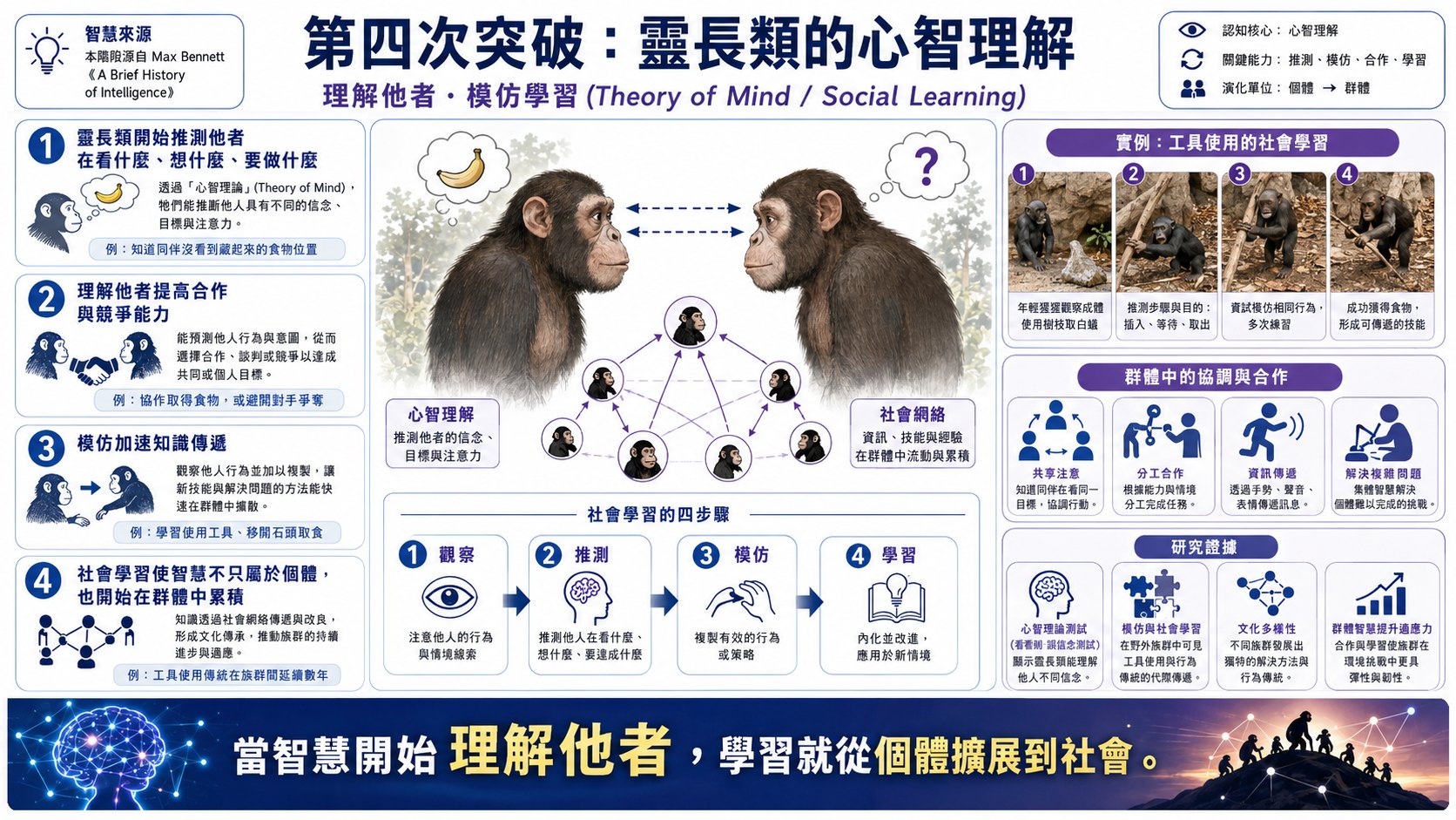 智慧的演化圖片 4