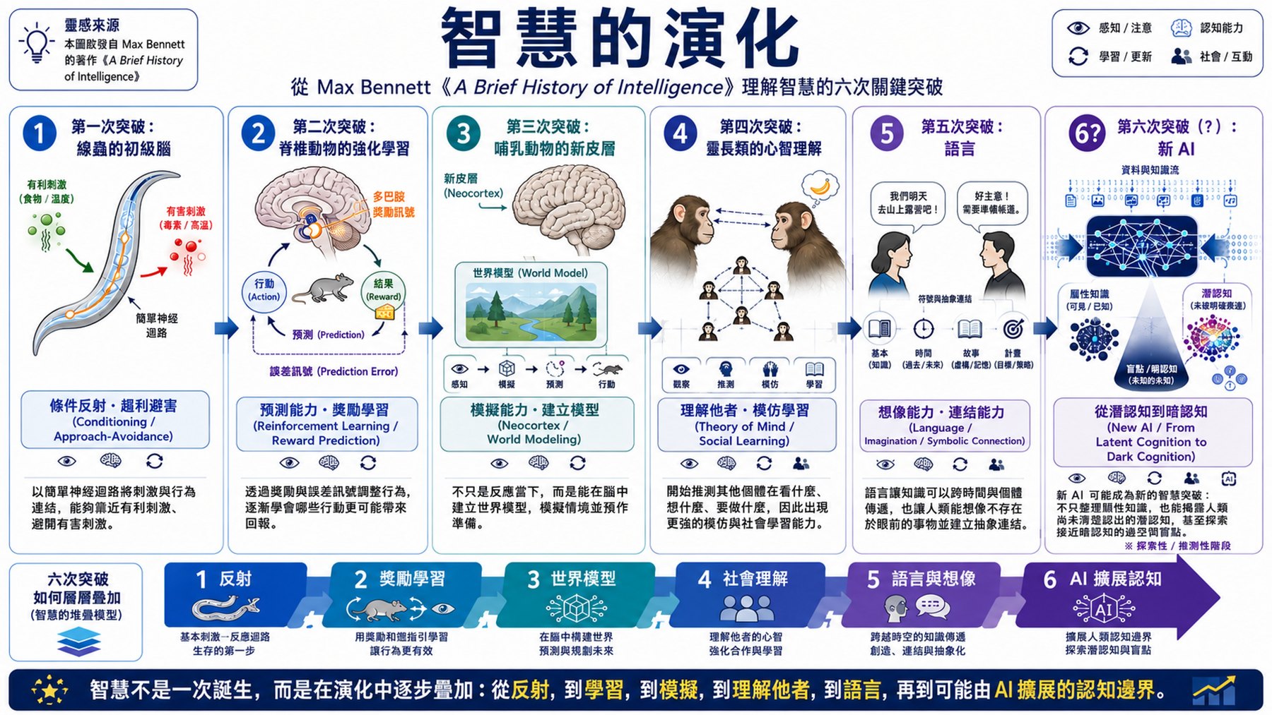 智慧的演化圖片 7