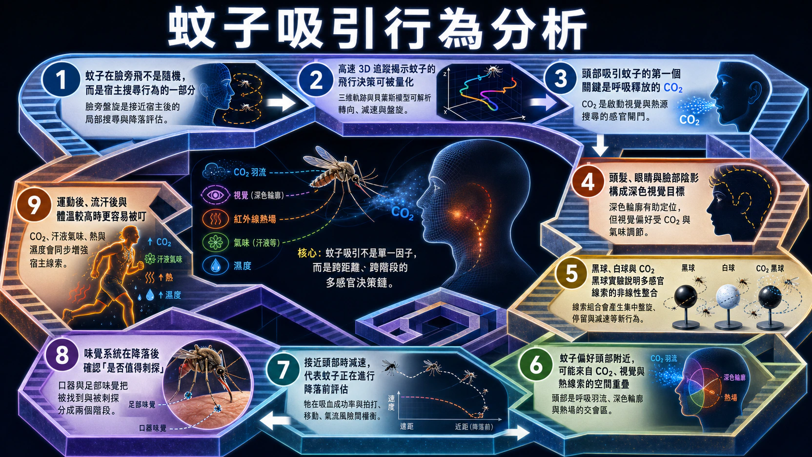 蚊子吸引行為分析總覽圖