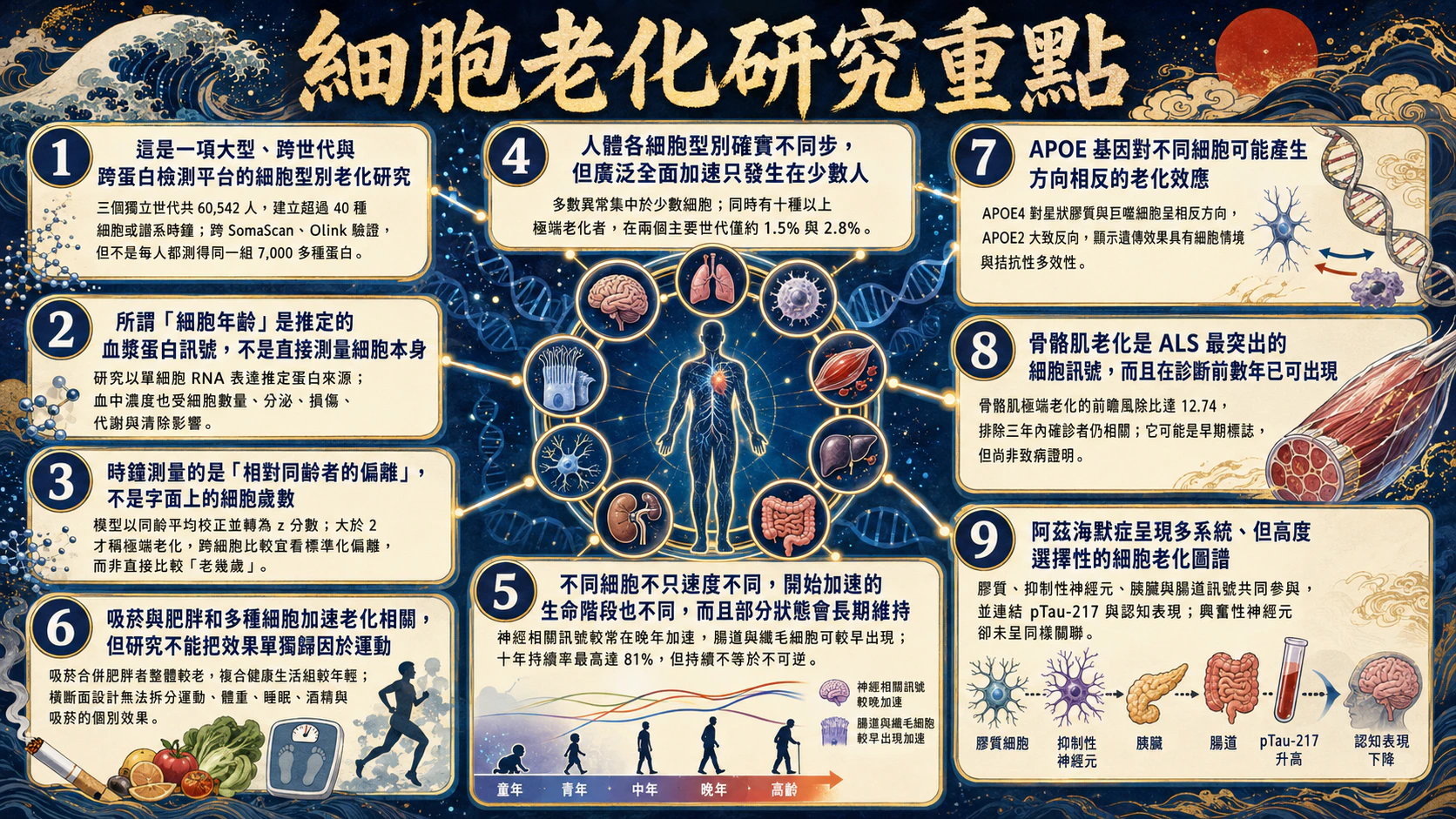 細胞老化研究重點總覽圖