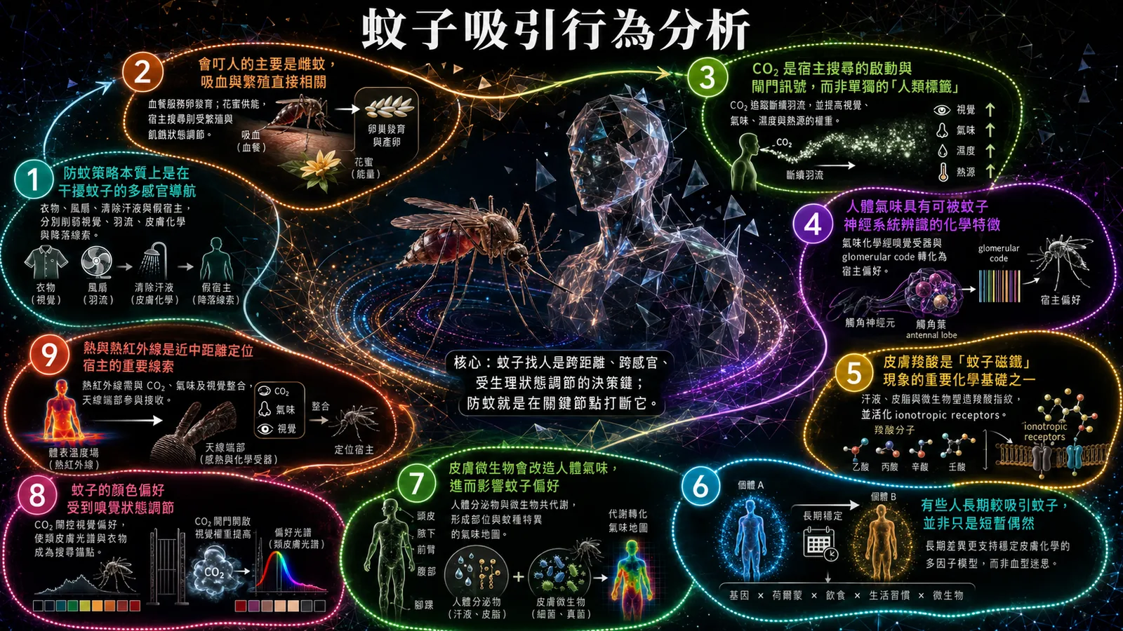 蚊子吸引行為分析總覽圖