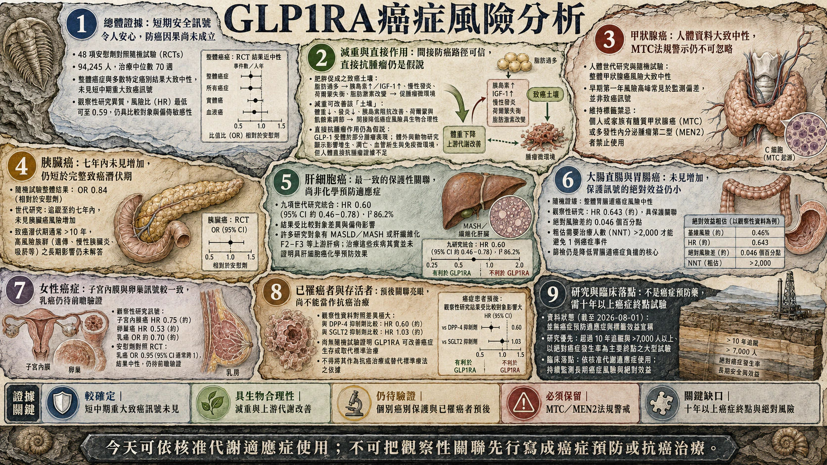 GLP-1 RA 與癌症風險（二）：比較組、偏差與機轉總覽