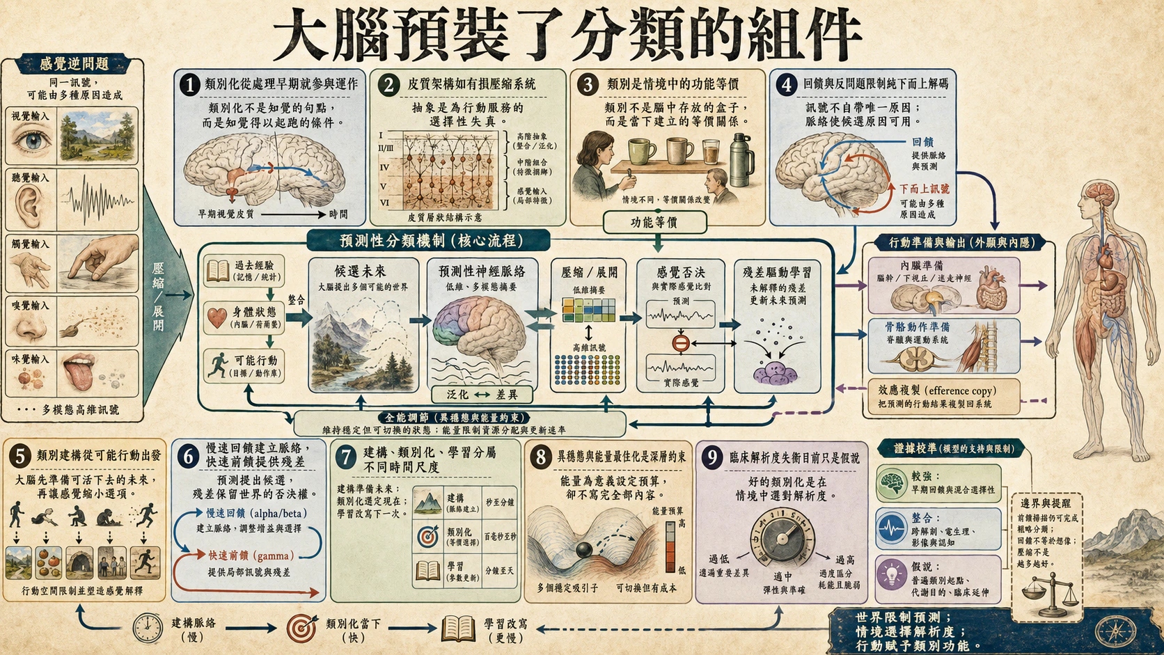 大腦是否預裝了分類的組件？總覽
