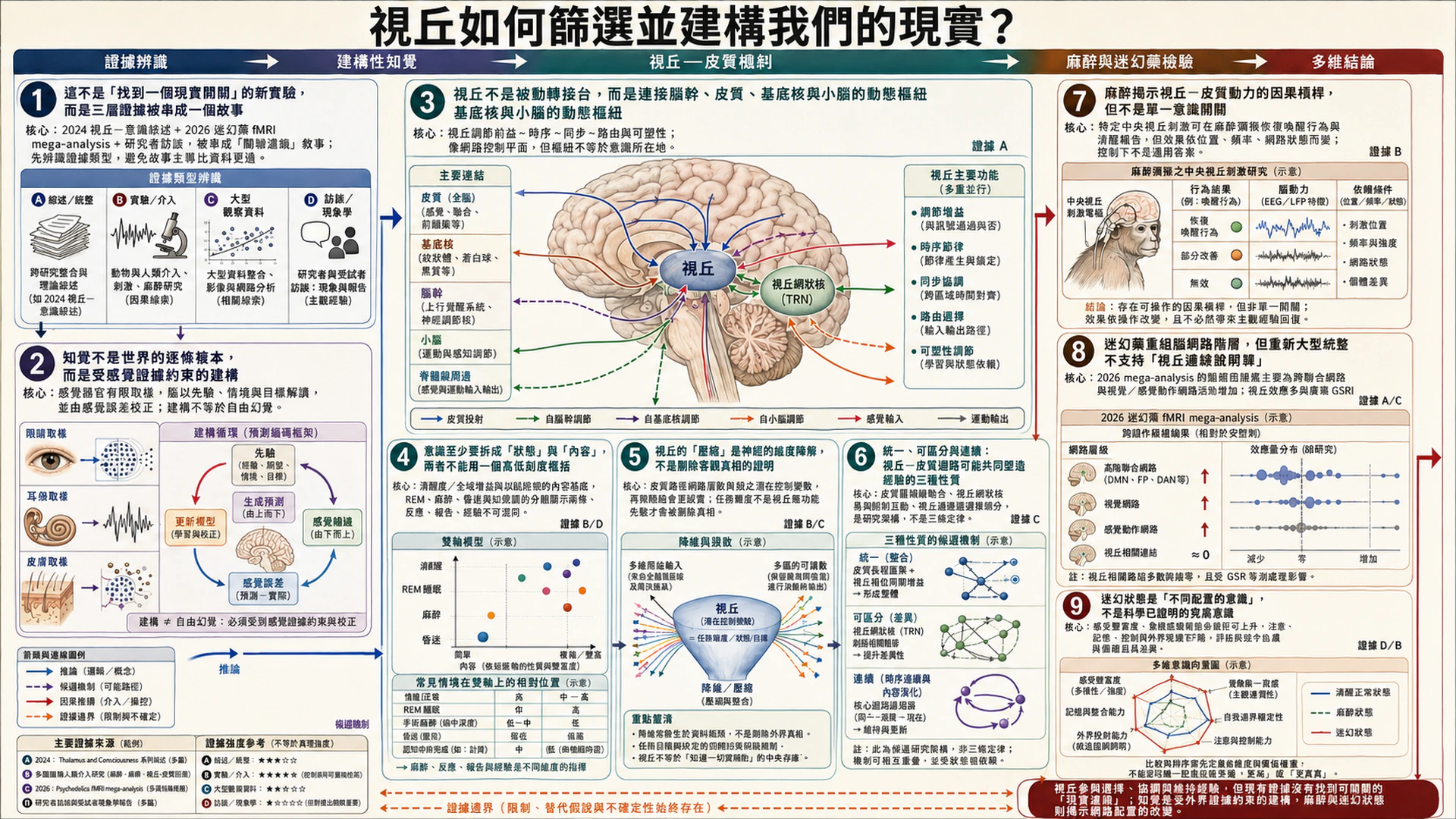 視丘如何篩選並建構我們的現實？總覽