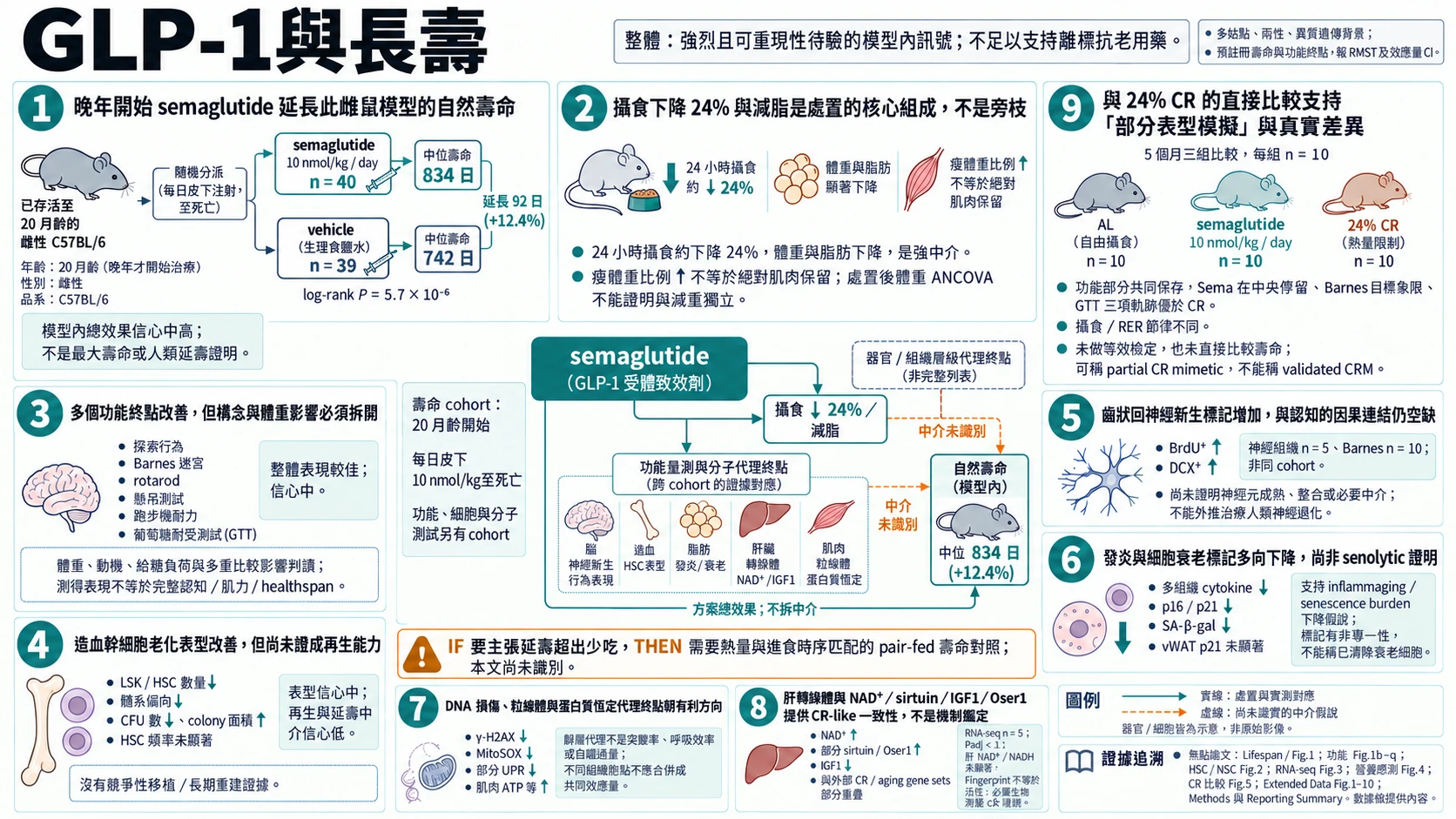 GLP-1 與長壽：晚年雌鼠壽命與多系統表型總覽