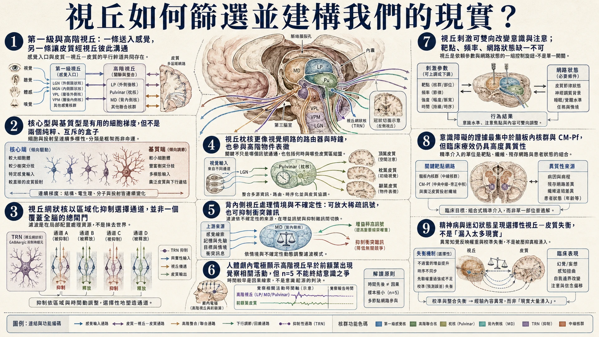 視丘如何篩選並建構我們的現實：核團路由、刺激因果與臨床應用總覽
